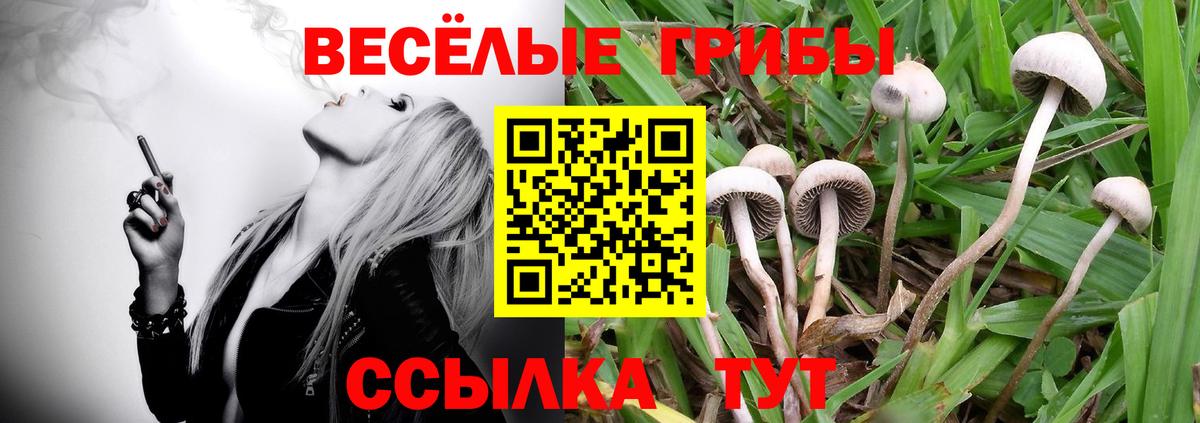 Галлюциногенные грибы мухоморы  Вход с VPN  Рузаевка 